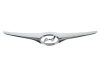 Decorative / Protection panel, radiator grille