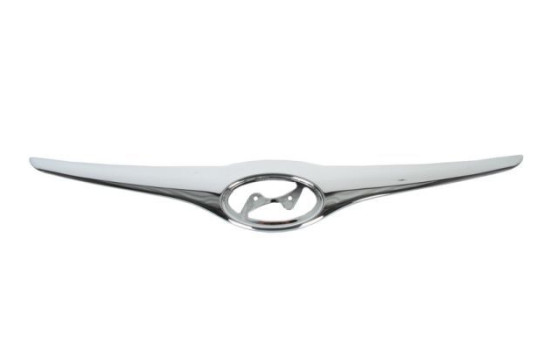 Decorative / Protection panel, radiator grille