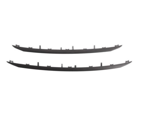 Decorative / Protection panel, radiator grille