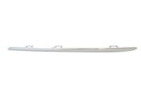 Decorative / Protection panel, radiator grille
