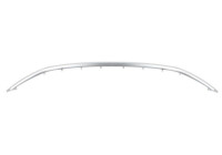 Decorative / Protection panel, radiator grille