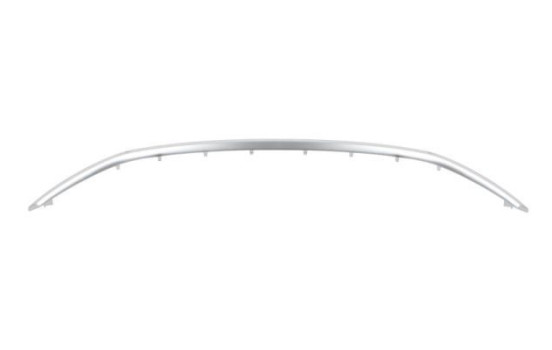 Decorative / Protection panel, radiator grille