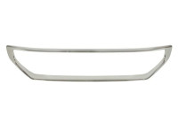 Decorative / Protection panel, radiator grille