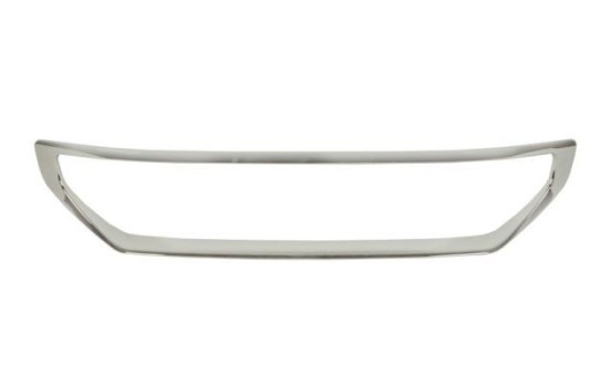 Decorative / Protection panel, radiator grille