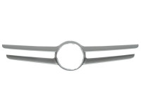 Decorative / Protection panel, radiator grille