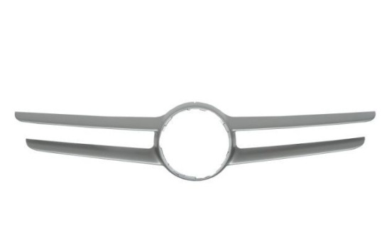 Decorative / Protection panel, radiator grille