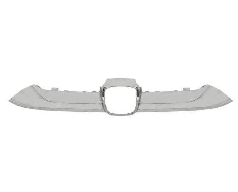 Decorative / Protection panel, radiator grille