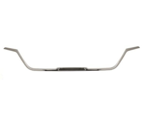 Decorative / Protection panel, radiator grille