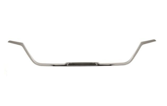 Decorative / Protection panel, radiator grille