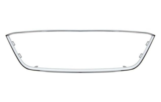 Decorative / Protection panel, radiator grille