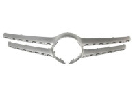 Decorative / Protection panel, radiator grille