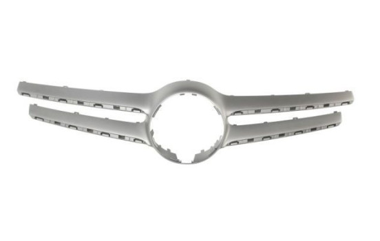 Decorative / Protection panel, radiator grille