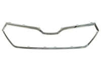 Decorative / Protection panel, radiator grille