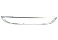 Decorative / Protection panel, radiator grille