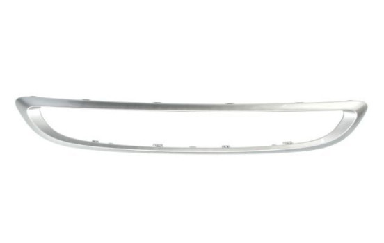 Decorative / Protection panel, radiator grille