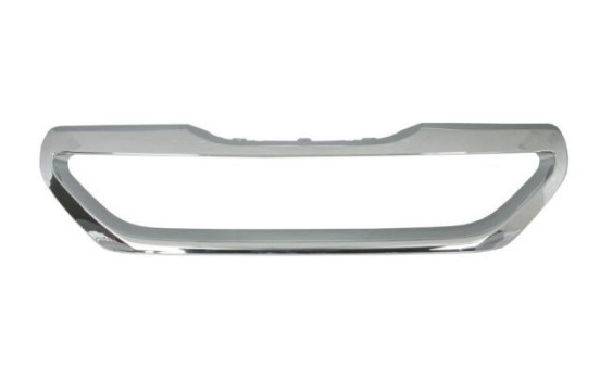 Decorative / Protection panel, radiator grille