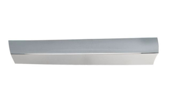 Decorative / Protection panel, radiator grille