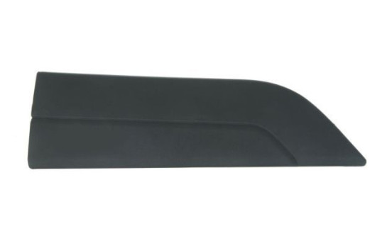 Decorative / Protection panel, radiator grille