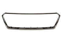 Decorative / Protection panel, radiator grille