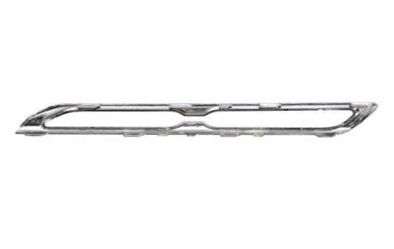 Decorative / Protection panel, radiator grille, Image 2