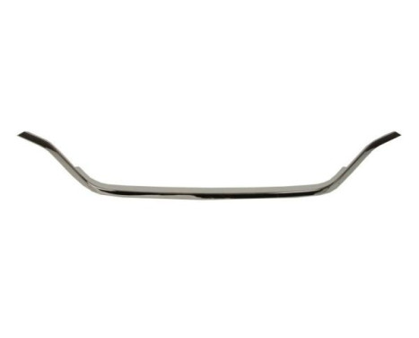 Decorative / Protection panel, radiator grille