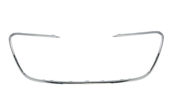 Decorative / Protection panel, radiator grille