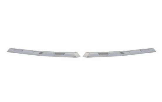 Decorative / Protection panel, radiator grille