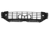 Decorative / Protection panel, radiator grille