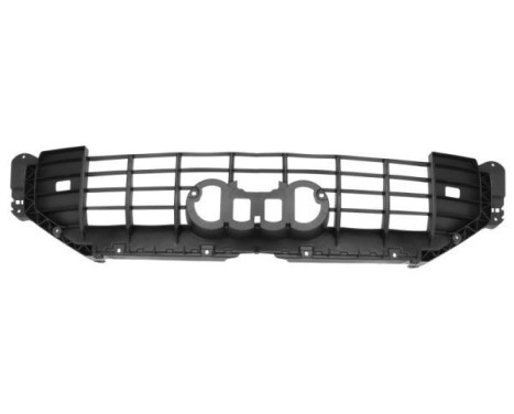 Decorative / Protection panel, radiator grille