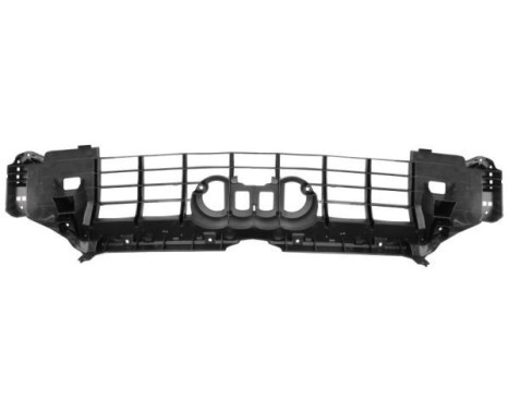 Decorative / Protection panel, radiator grille, Image 2