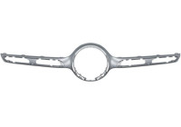 Decorative / Protection panel, radiator grille