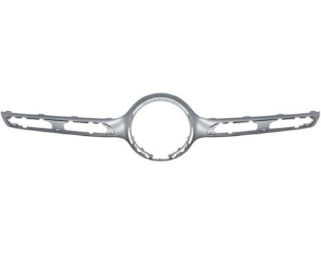 Decorative / Protection panel, radiator grille