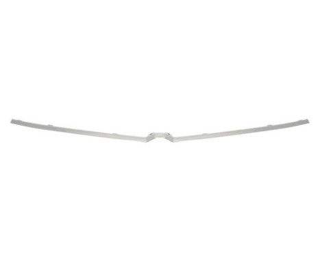 Decorative / Protection panel, radiator grille