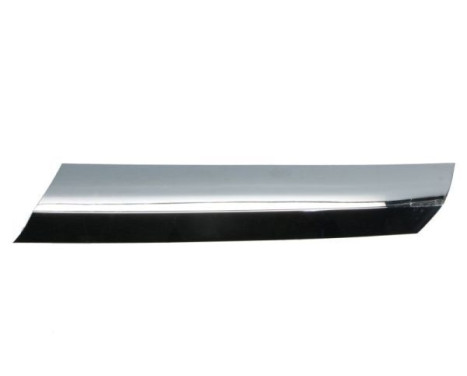 Decorative / Protection panel, radiator grille