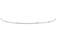 Decorative / Protection panel, radiator grille