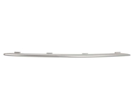 Decorative / Protection panel, radiator grille