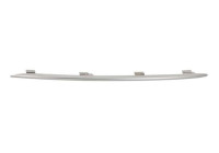 Decorative / Protection panel, radiator grille