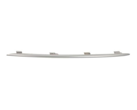 Decorative / Protection panel, radiator grille