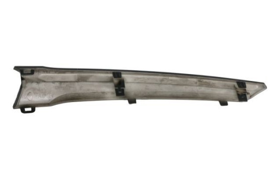 Decorative / Protection panel, radiator grille, Image 2