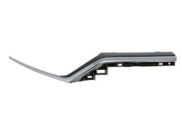 Decorative / Protection panel, radiator grille
