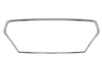 Decorative / Protection panel, radiator grille