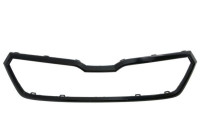 Decorative / Protection panel, radiator grille