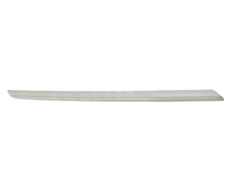 Decorative / Protection panel, radiator grille