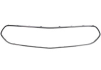Decorative / Protection panel, radiator grille