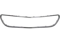 Decorative / Protection panel, radiator grille