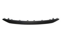 Decorative / Protection panel, radiator grille