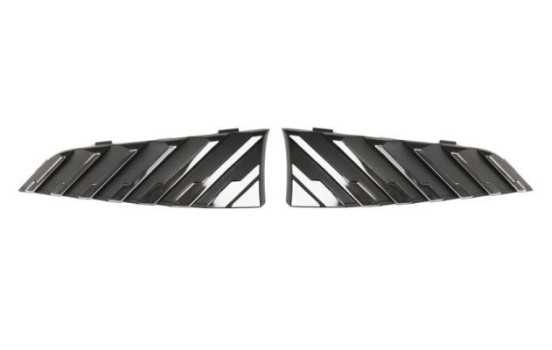 Decorative / Protection panel, radiator grille