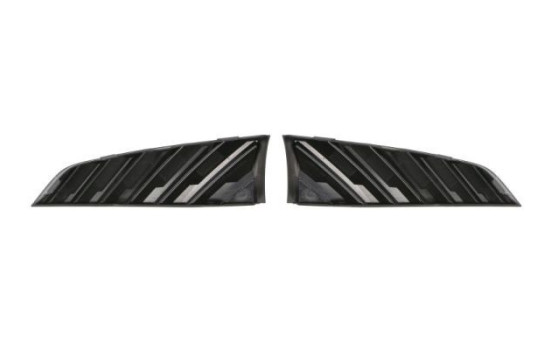 Decorative / Protection panel, radiator grille, Image 2