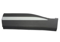 Decorative/protective panel, door