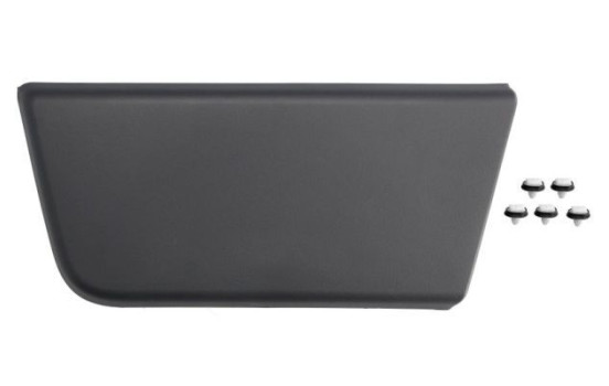 Decorative/protective panel, door